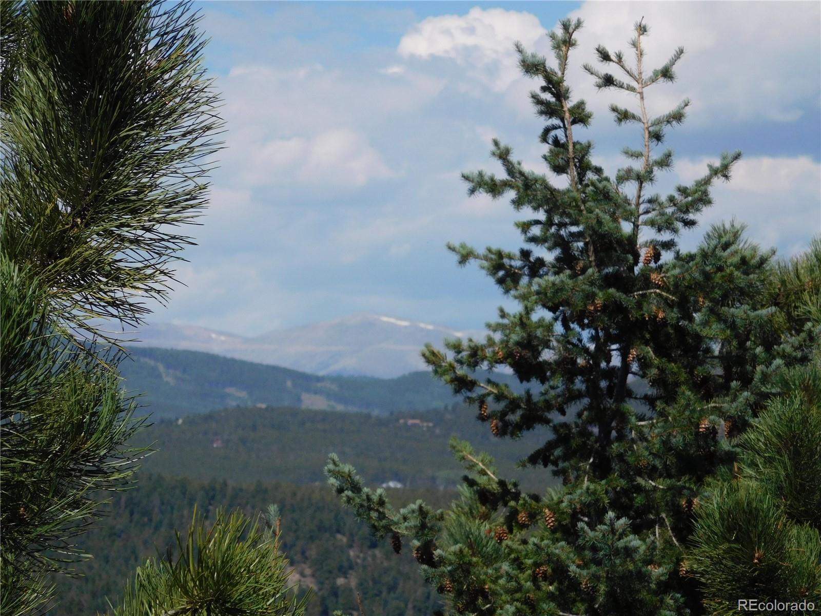 9398 Fallen Rock Road Conifer, CO 80433 - Photo 5 of 35 Gallery Image 5