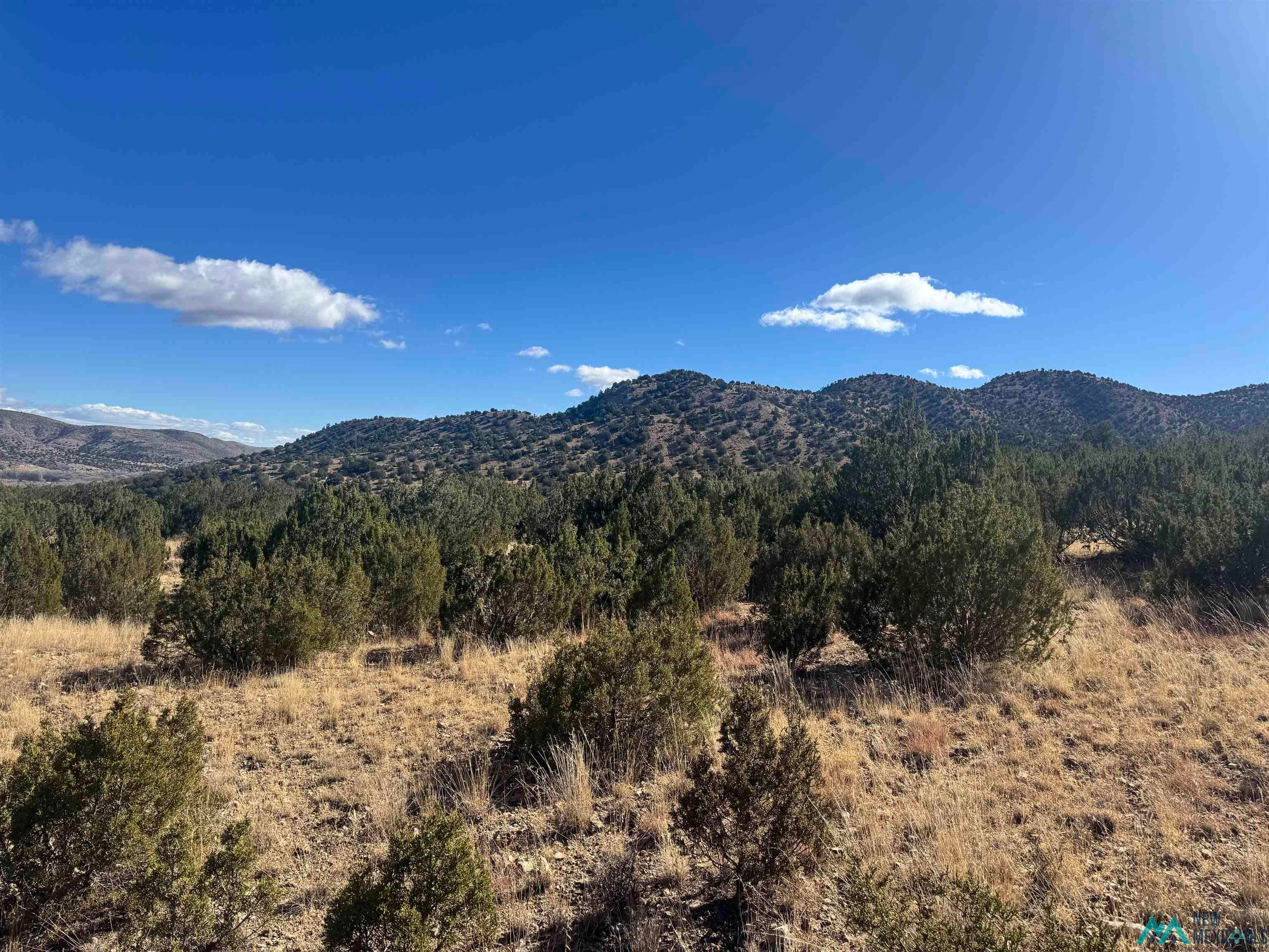 140 Manfor Road San Patricio, NM 88348 - Photo 5 of 5 View of mountain background