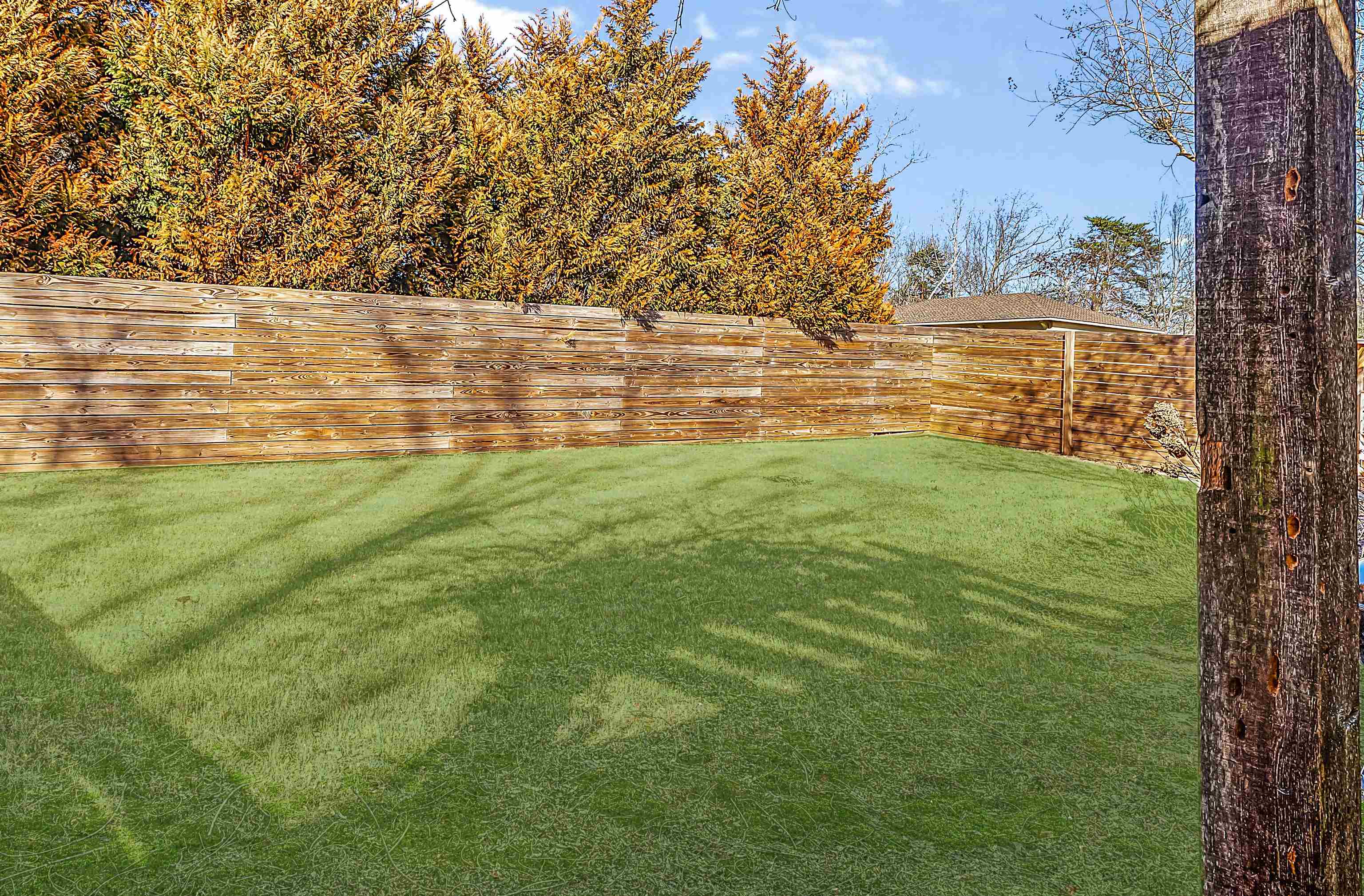 70 Light Pointe Savannah, TN 38372 - Photo 20 of 20 a view of a yard with an outdoor space