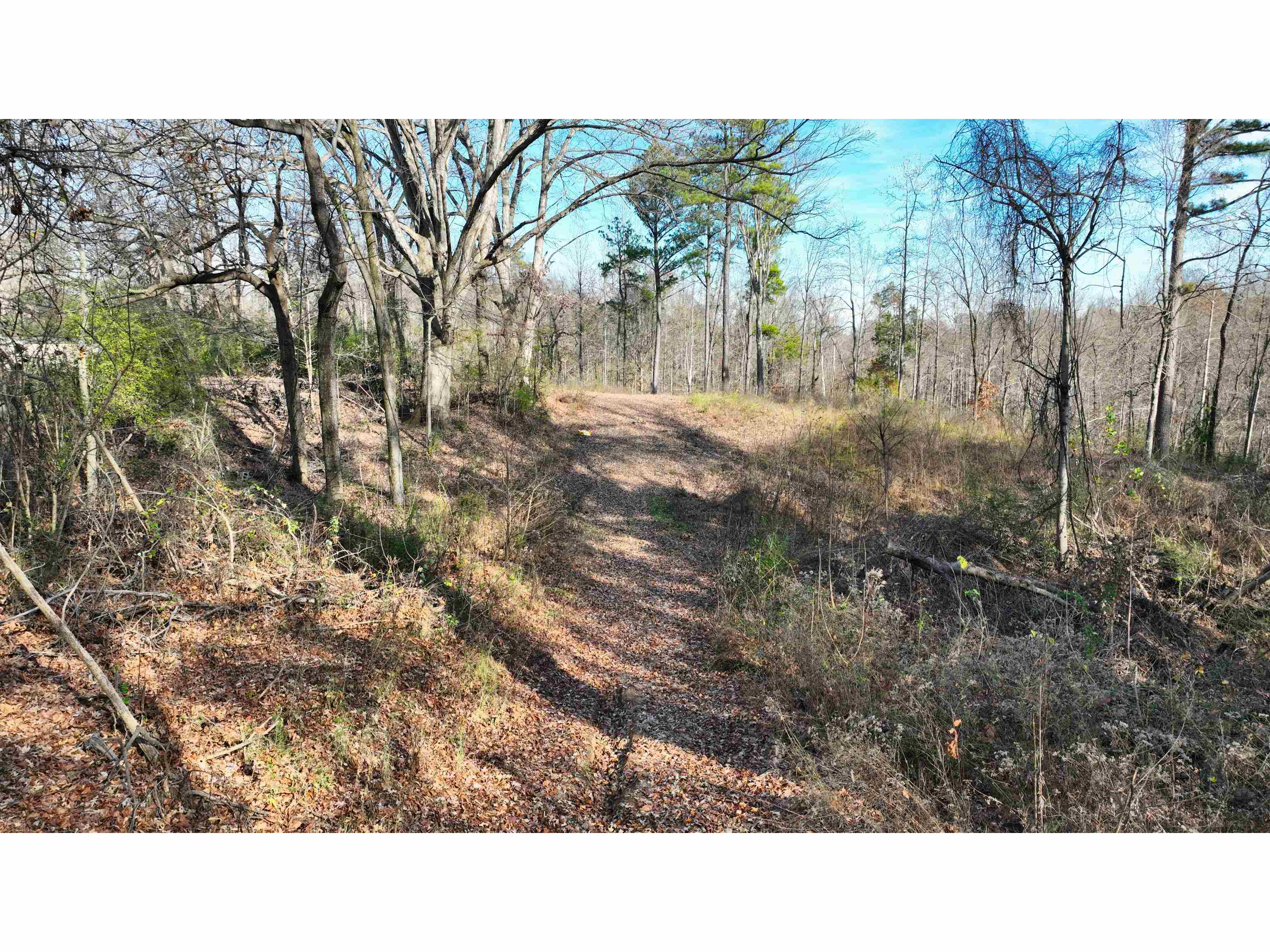 Munford Giltedge Road Burlison, TN 38015 - Photo 15 of 16
