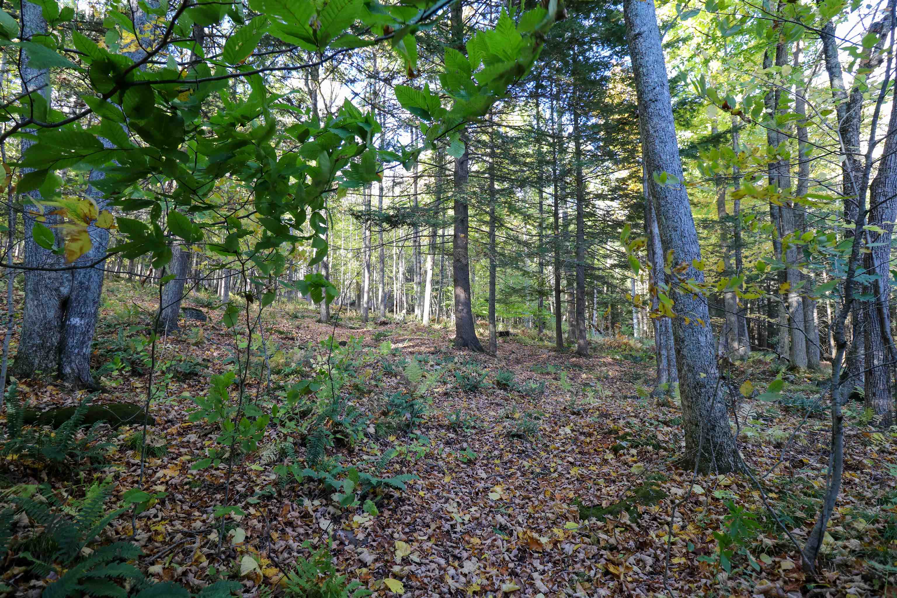 1224 Marsh Family Road Hartford, VT 05059 - Photo 45 of 51 Gallery Image 45