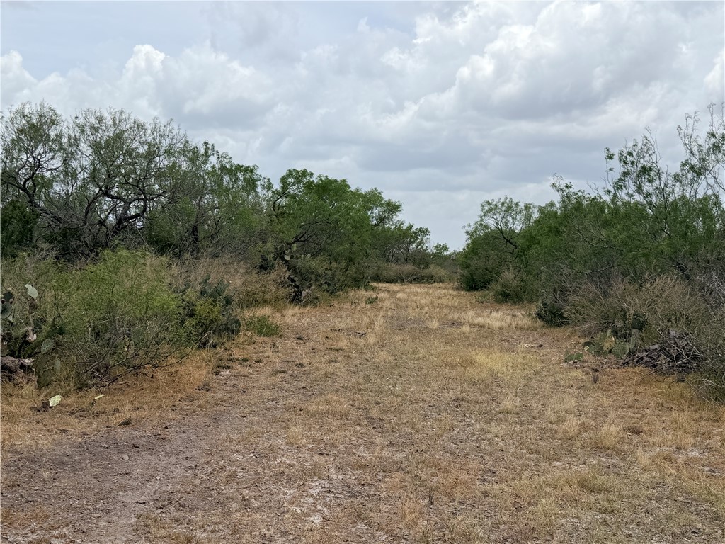 242 Cinco Millas Road Jourdanton, TX 78026 - Photo 22 of 35 Gallery Image 22