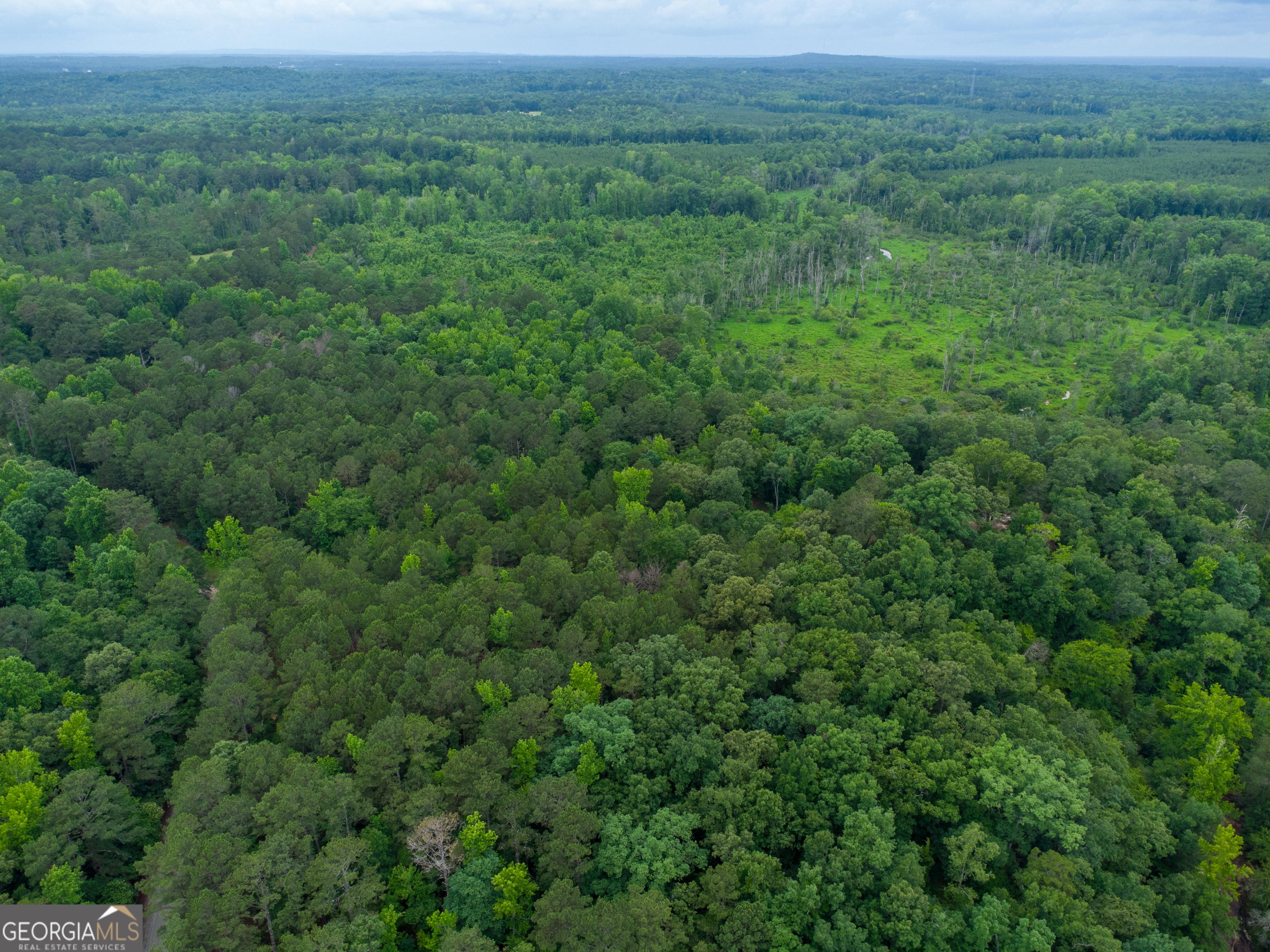 331 Potts Pond Road Barnesville, GA 30204 - Photo 5 of 9