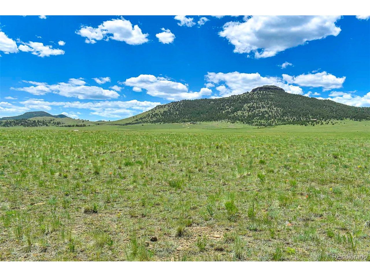63 County Road Guffey, CO 80820 - Photo 10 of 35 Gallery Image 10