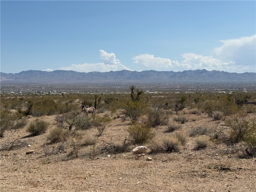 1629 Growler Road Golden Valley, AZ 86413 - Photo 7 of 9 View