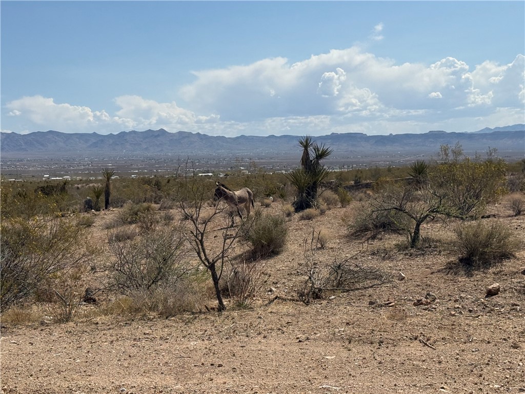 1629 Growler Road Golden Valley, AZ 86413 - Photo 8 of 9 View