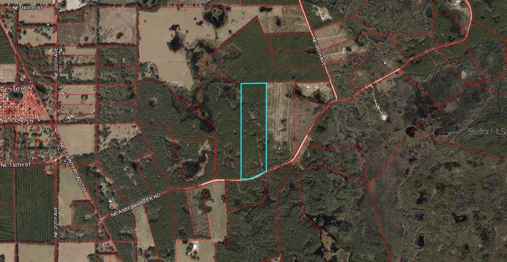 Tbd Northeast Asbell Creek Road Chiefland, FL 32626 - Photo 1 of 1