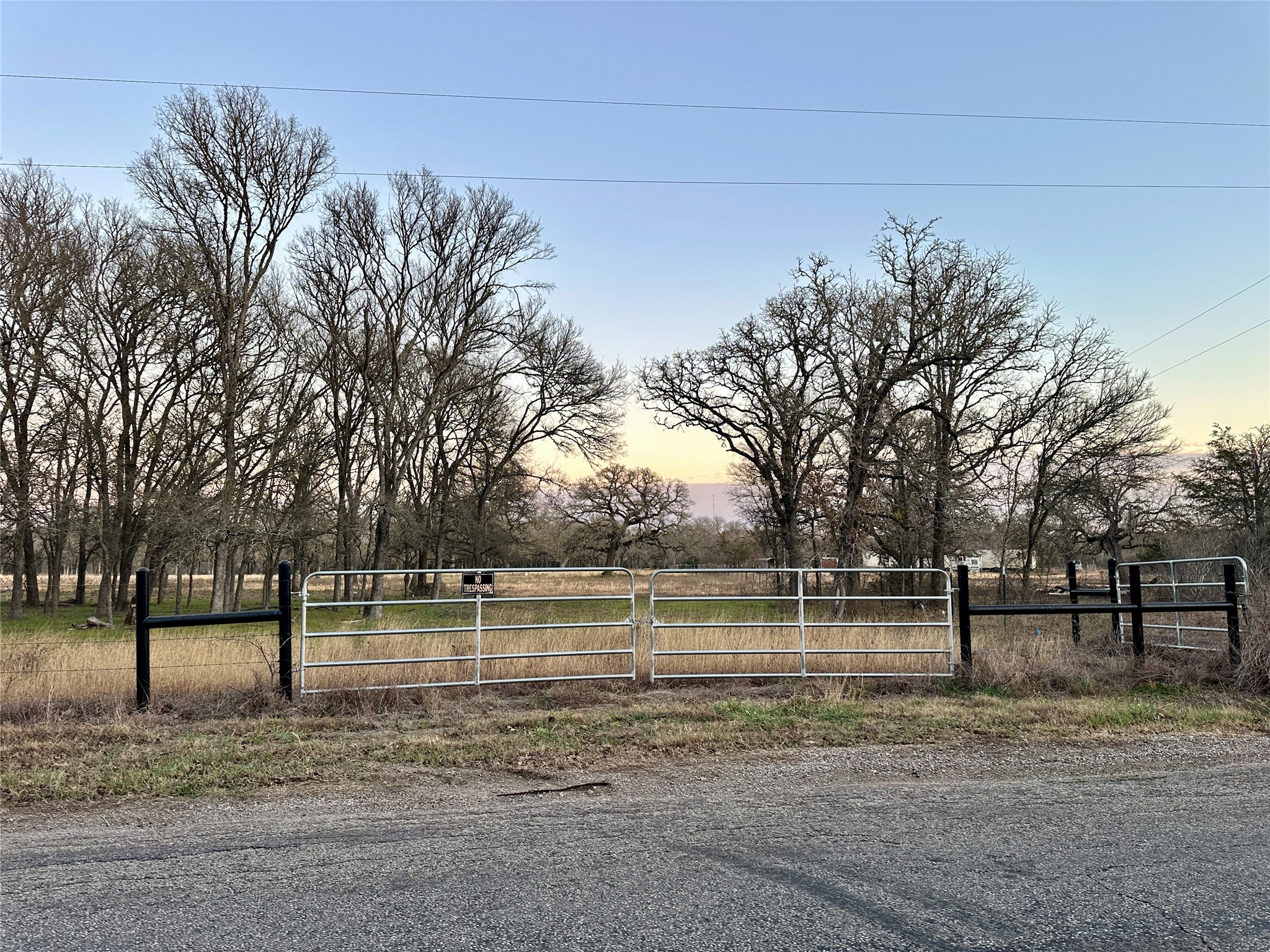 a view of a park with large trees