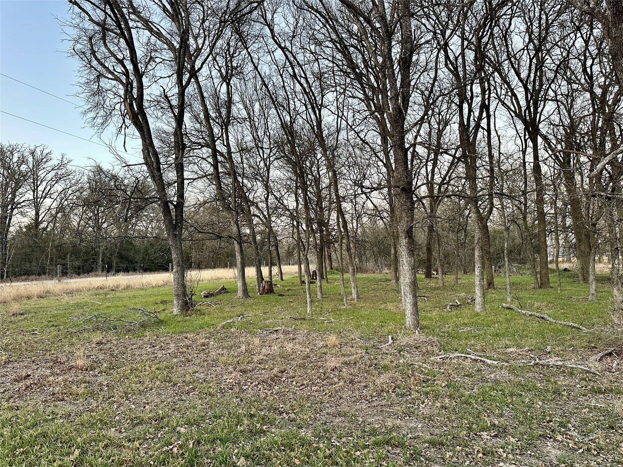 118 Rd Giddings Tx 78942 Road Giddings, TX 78942 - Photo 11 of 11 a backyard of a house with a tree