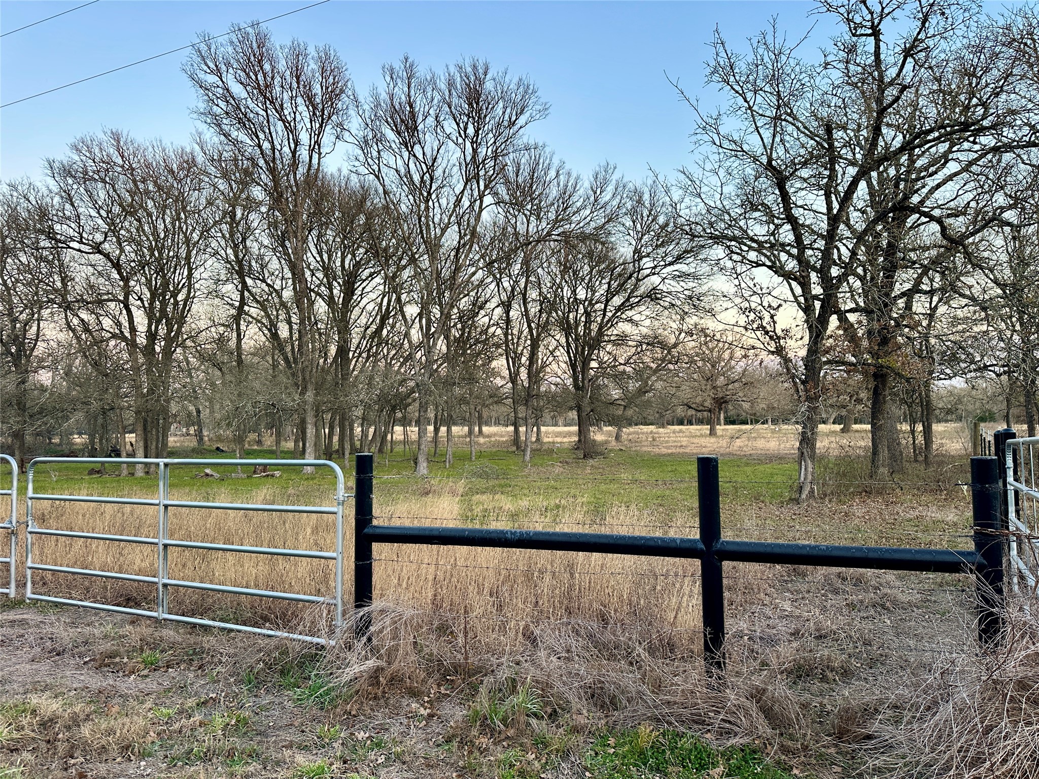 118 Rd Giddings Tx 78942 Road Giddings, TX 78942 - Photo 2 of 11 a view of a backyard of a house