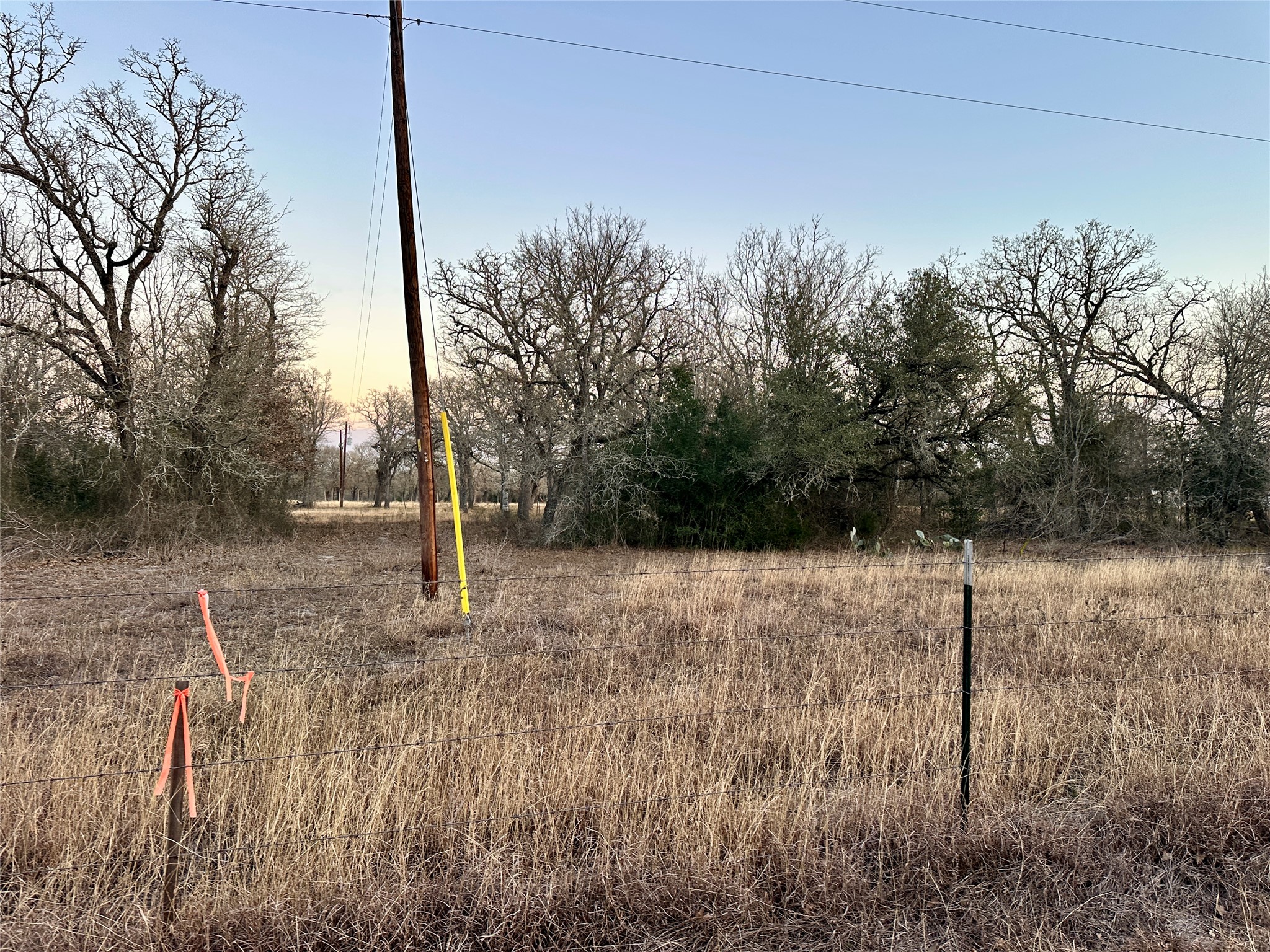 118 Rd Giddings Tx 78942 Road Giddings, TX 78942 - Photo 6 of 11 a view of a backyard