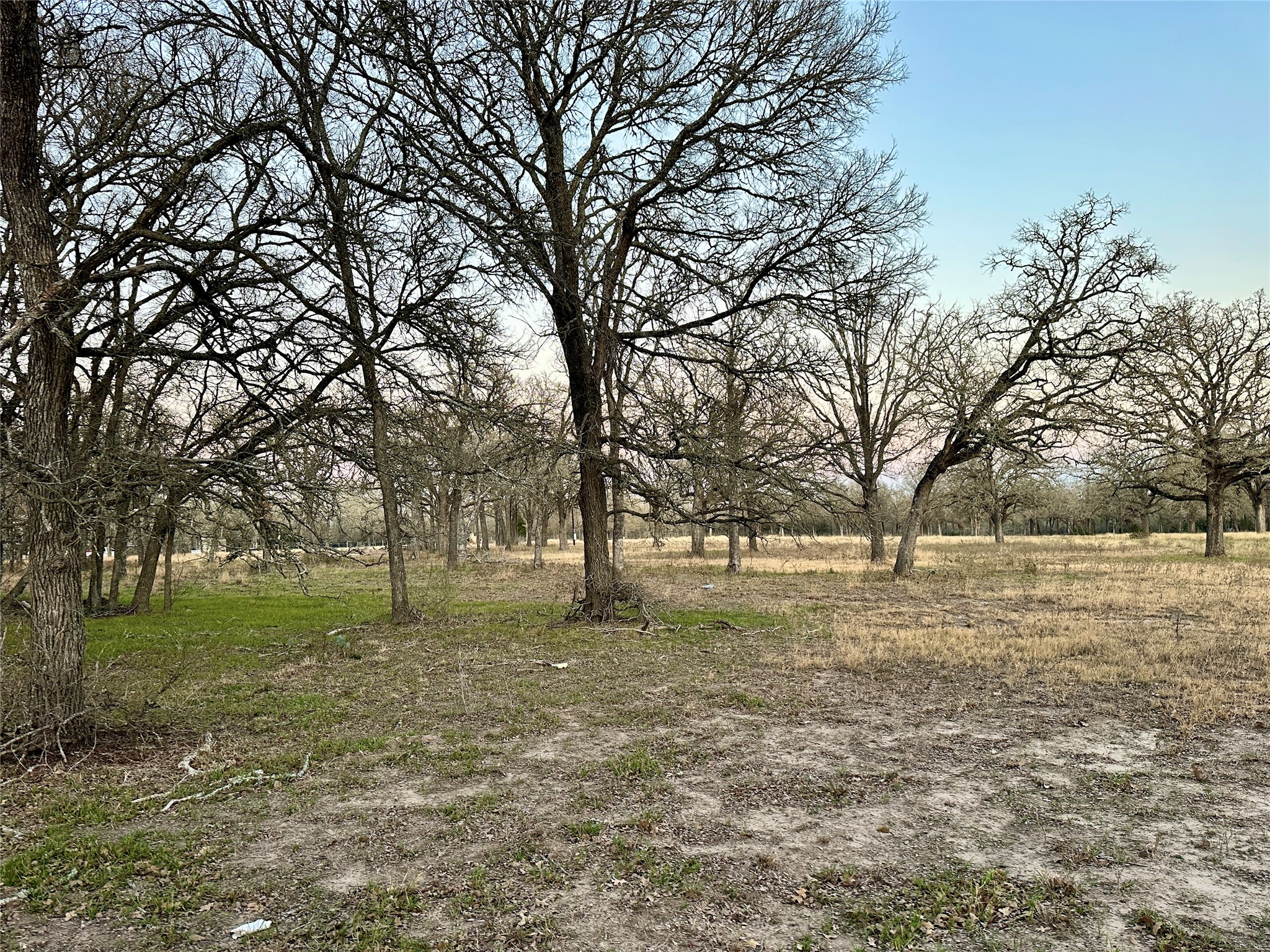 118 Rd Giddings Tx 78942 Road Giddings, TX 78942 - Photo 10 of 11 a view of yard with trees