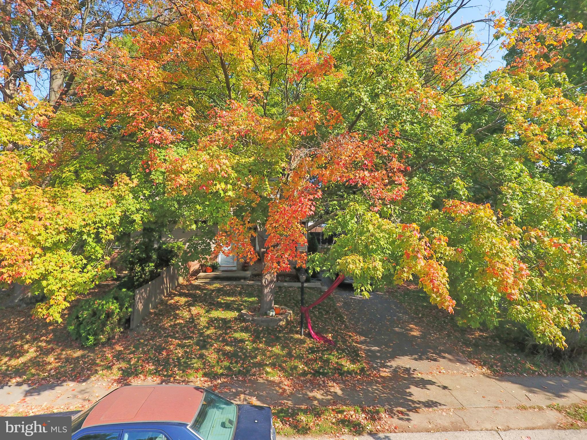 539 Spring Avenue Lititz, PA 17543 - Photo 44 of 51