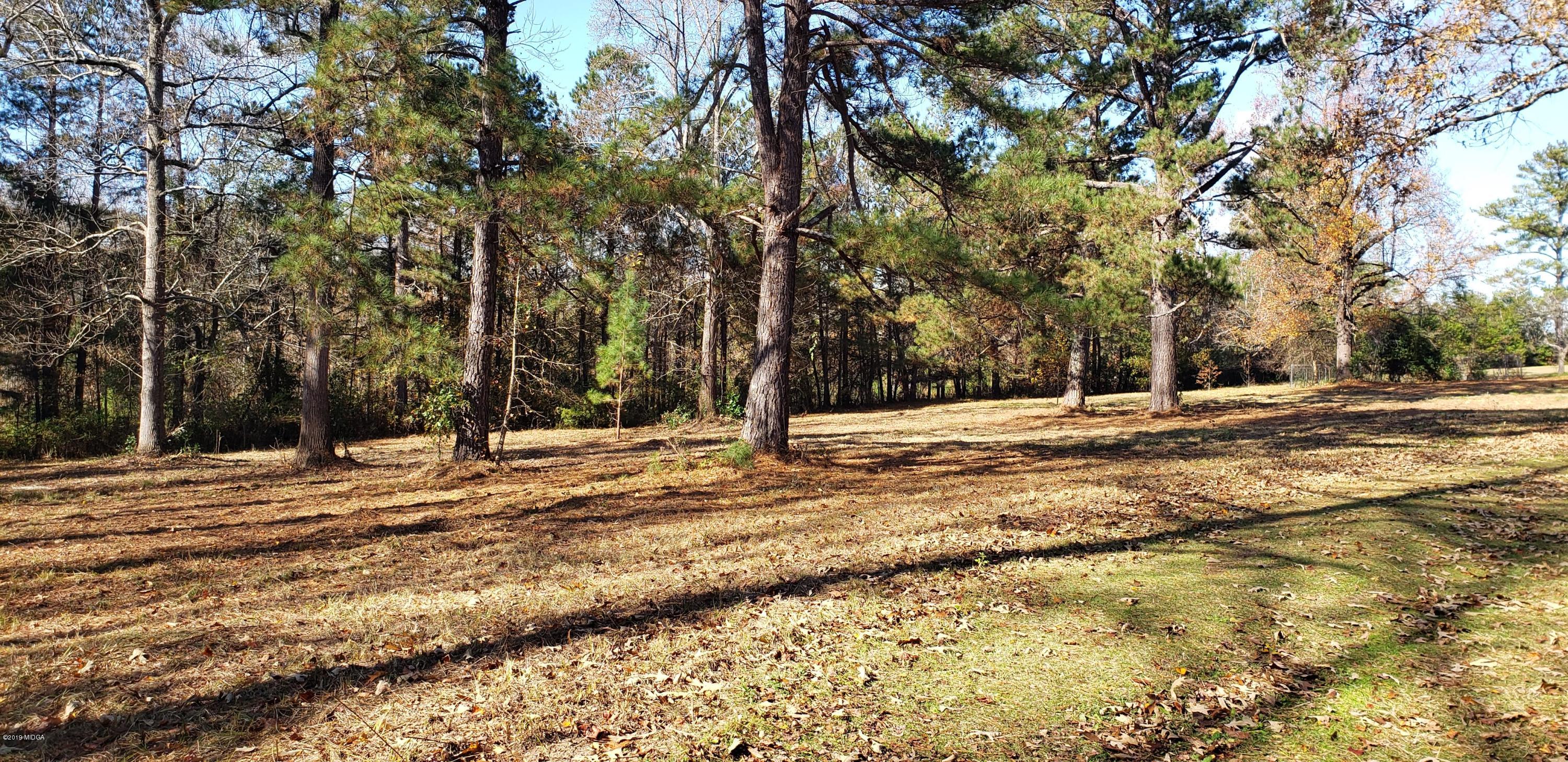 222 Chambers Road Macon, GA 31217 - Photo 2 of 15 a view of empty space with trees