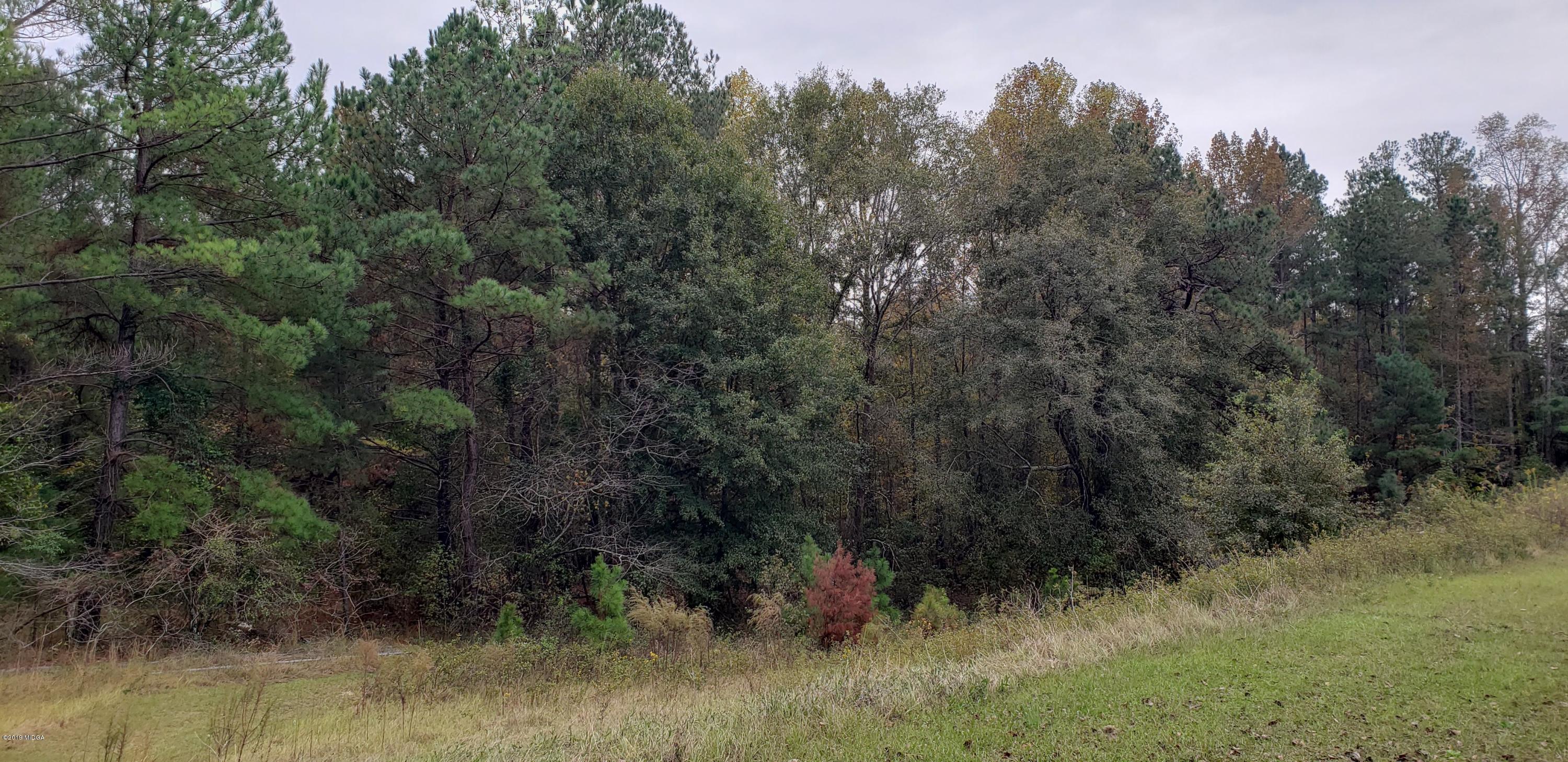 222 Chambers Road Macon, GA 31217 - Photo 13 of 15 a view of a yard in a yard