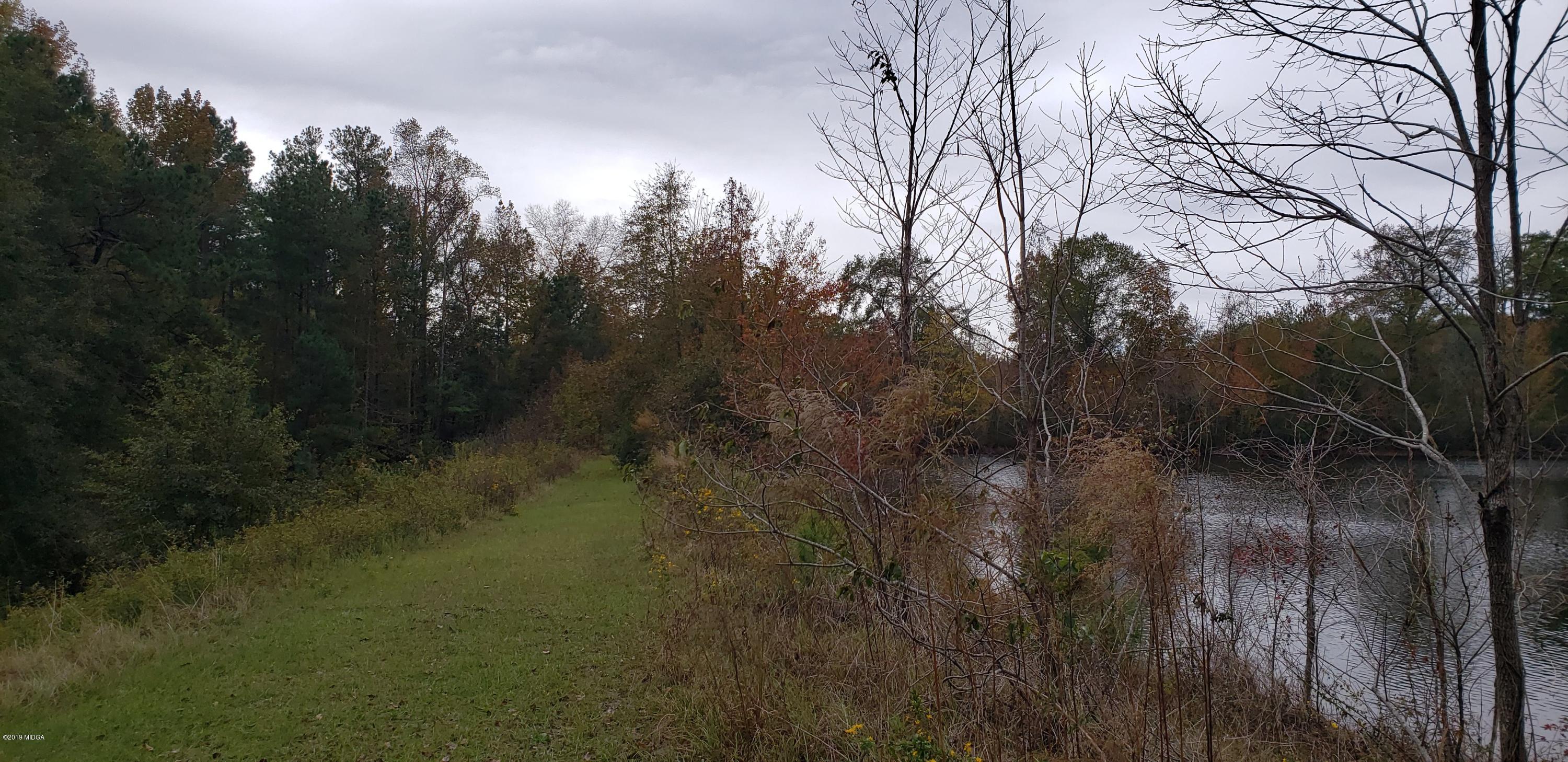 222 Chambers Road Macon, GA 31217 - Photo 15 of 15 a view of forest