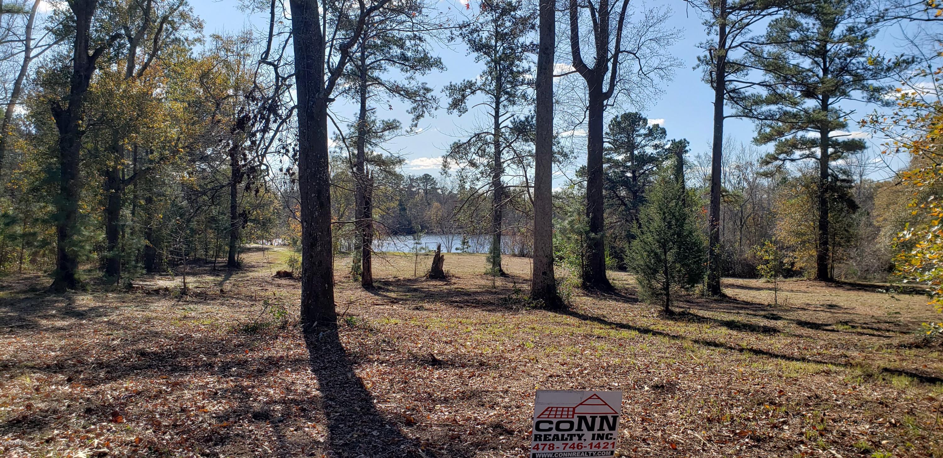 222 Chambers Road Macon, GA 31217 - Photo 4 of 15 a view of a forest filled with trees