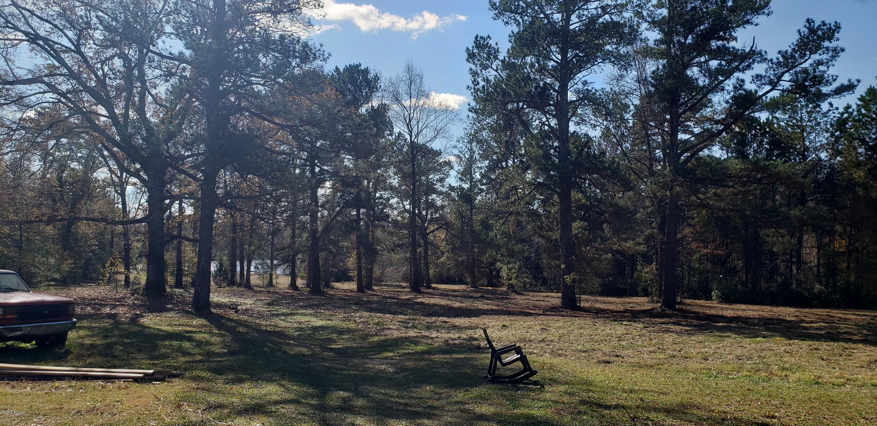 222 Chambers Road Macon, GA 31217 - Photo 5 of 15 a view of a yard with trees