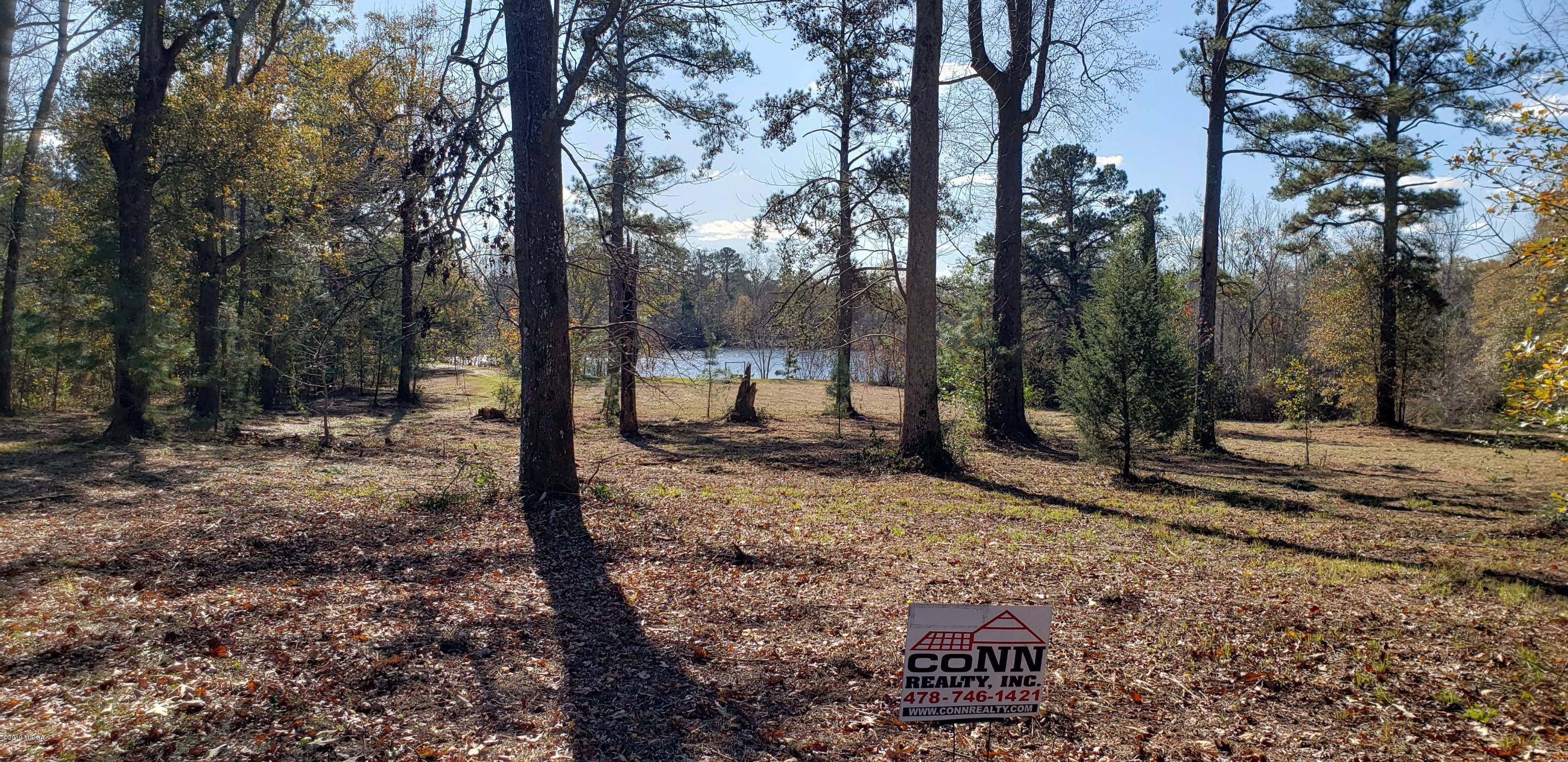 222 Chambers Road Macon, GA 31217 - Photo 6 of 15 a view of a forest filled with trees