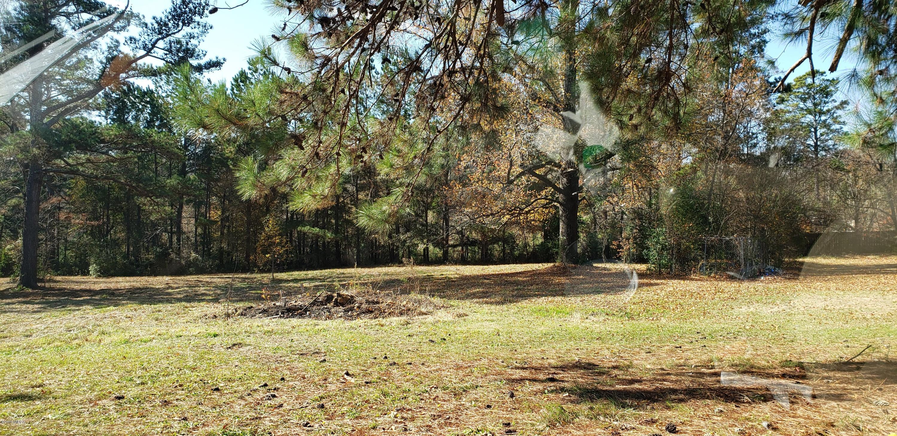 222 Chambers Road Macon, GA 31217 - Photo 7 of 15 a view of a yard with trees