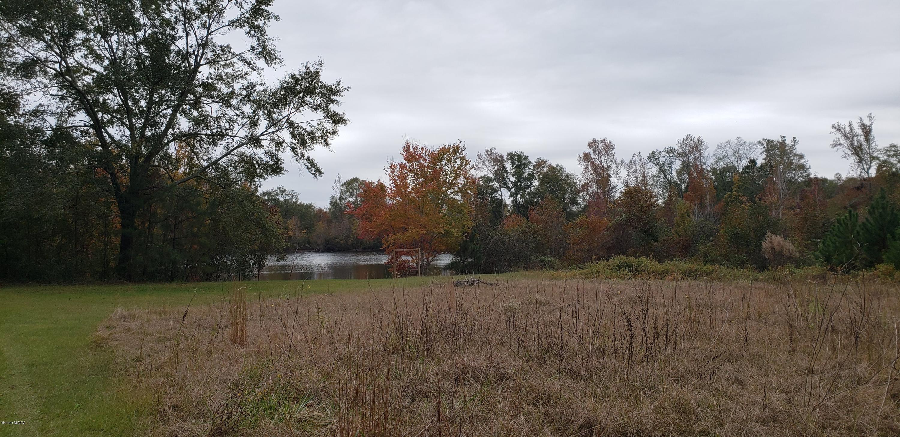 222 Chambers Road Macon, GA 31217 - Photo 8 of 15 a view of river covered with trees