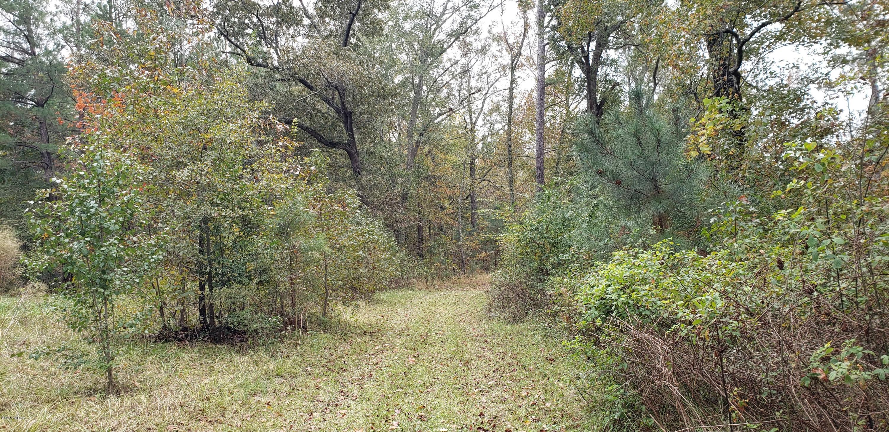 222 Chambers Road Macon, GA 31217 - Photo 10 of 15 a view of a forest with trees in the background