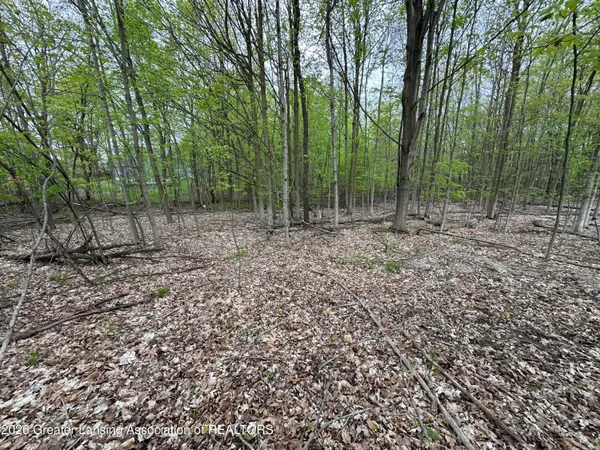 $12,500 | 0 Thornapple Drive, Perrinton, MI 48871