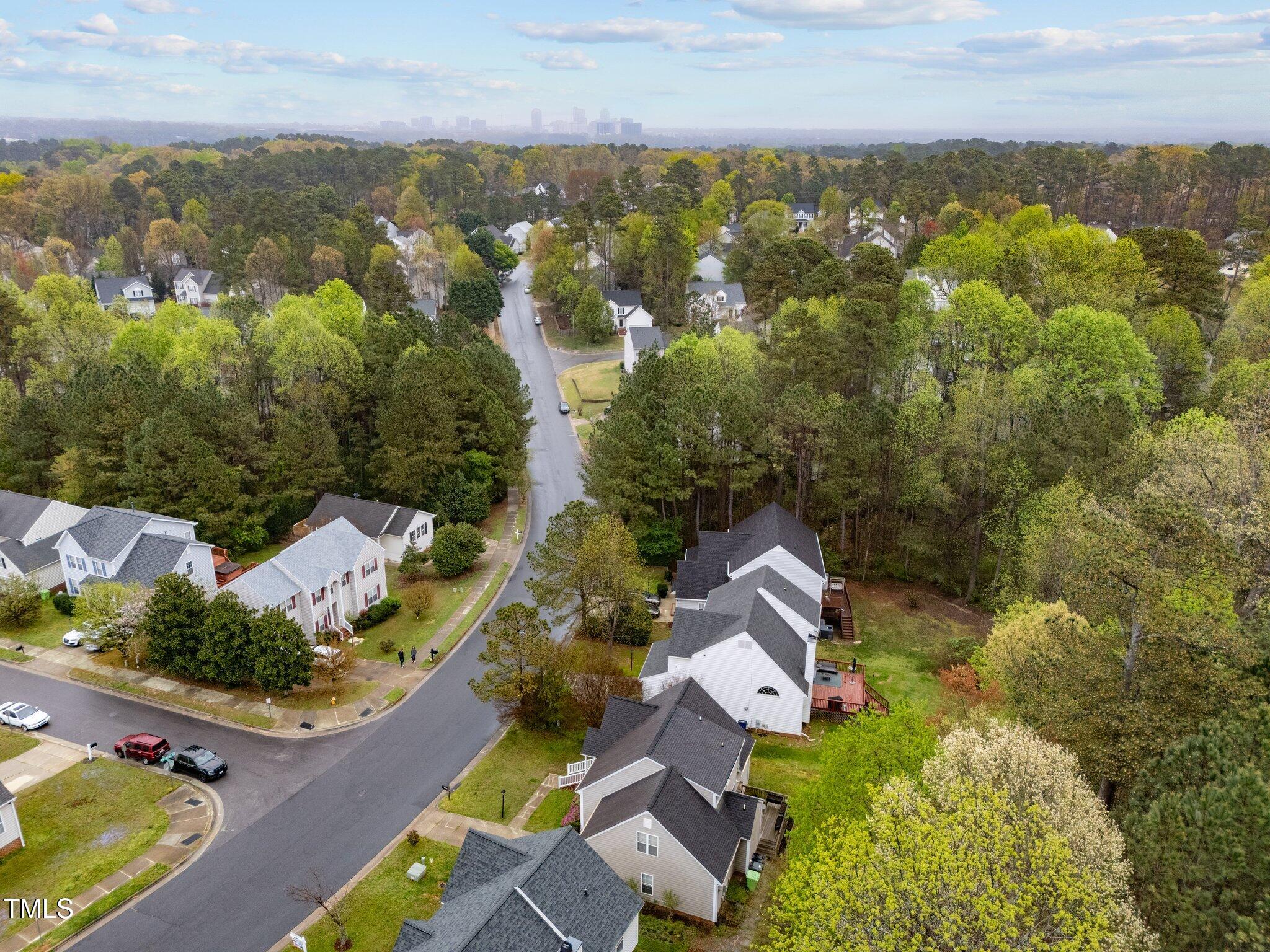 2825 Alder Ridge Lane Raleigh, NC 27603 - Photo 28 of 37 Aerial View-Neighborhood