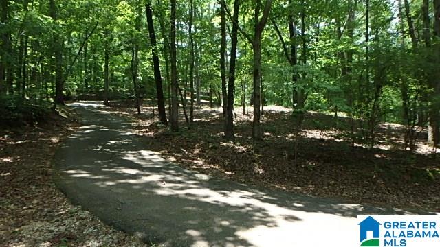 2811 Alpine Winterboro Road Alpine, AL 35014 - Photo 20 of 21