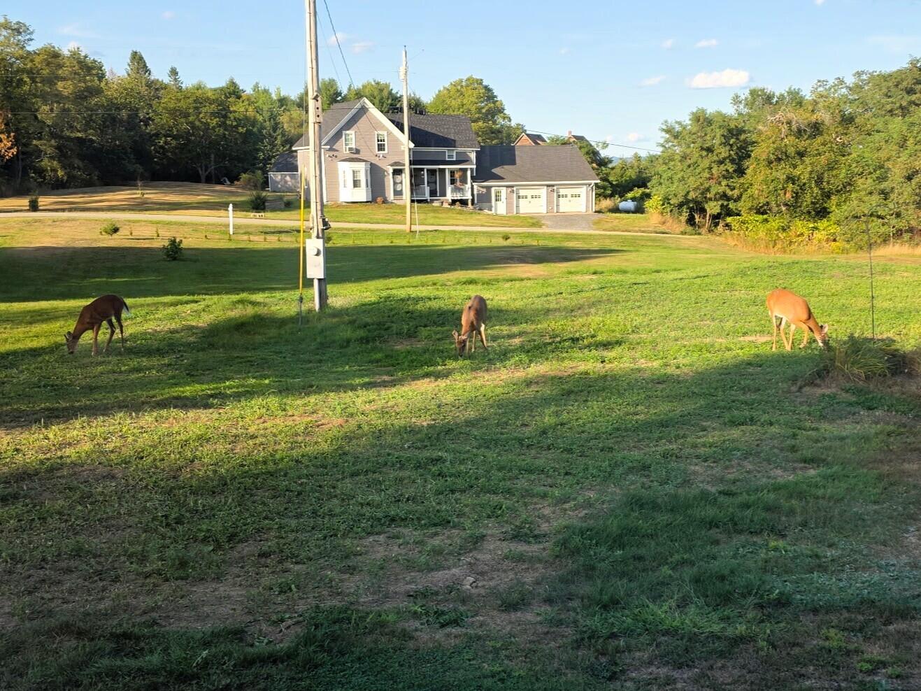 117 Clark Road Unity, ME 04988 - Photo 26 of 31 117 Clark Rd