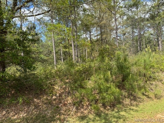 Lot 97 Harbor Road Andalusia, AL 36421 - Photo 3 of 7 Gallery Image 3