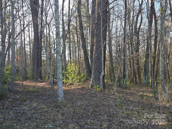 a view of a yard with a trees