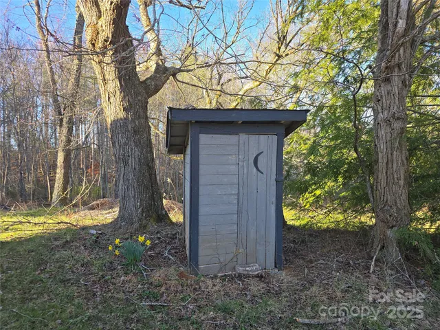 a bunch of flowers in a garden