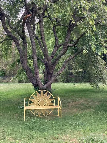 a view of a backyard with plants and a yard