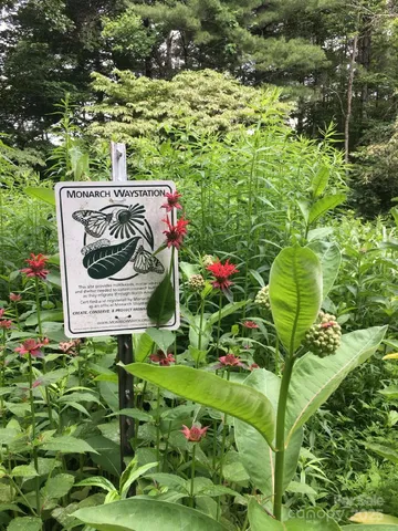 a view of a lake with a mountain
