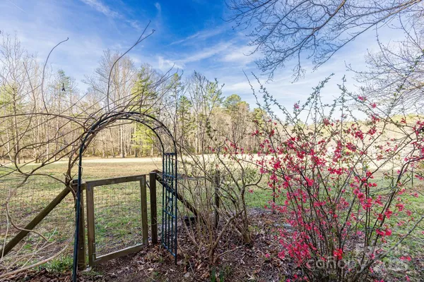 a view of a garden