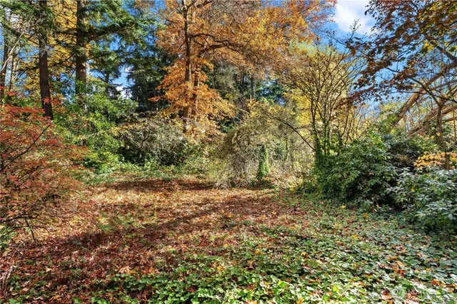 a view of city and mountain