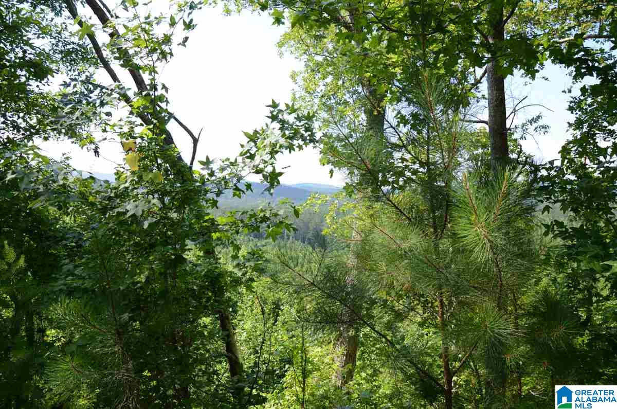 10098 County Road 55, Unit 24 ACRES Fruithurst, AL 36262 - Photo 25 of 27