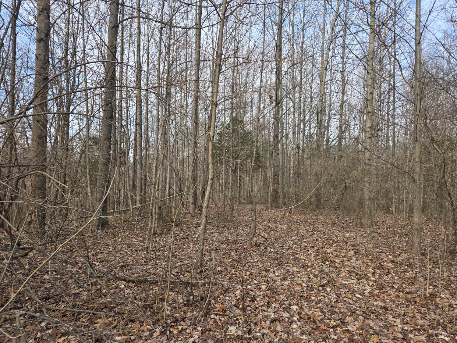 115 Mettle Road Laurel, IN 47024 - Photo 22 of 59