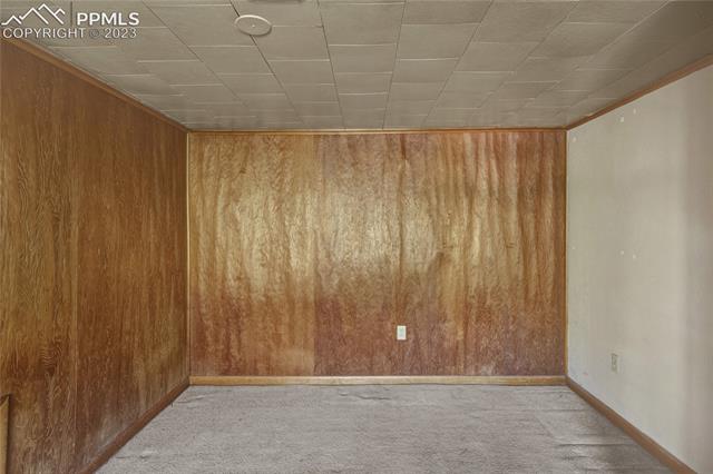 4580 Fox Road Cascade, CO 80809 - Photo 15 of 23