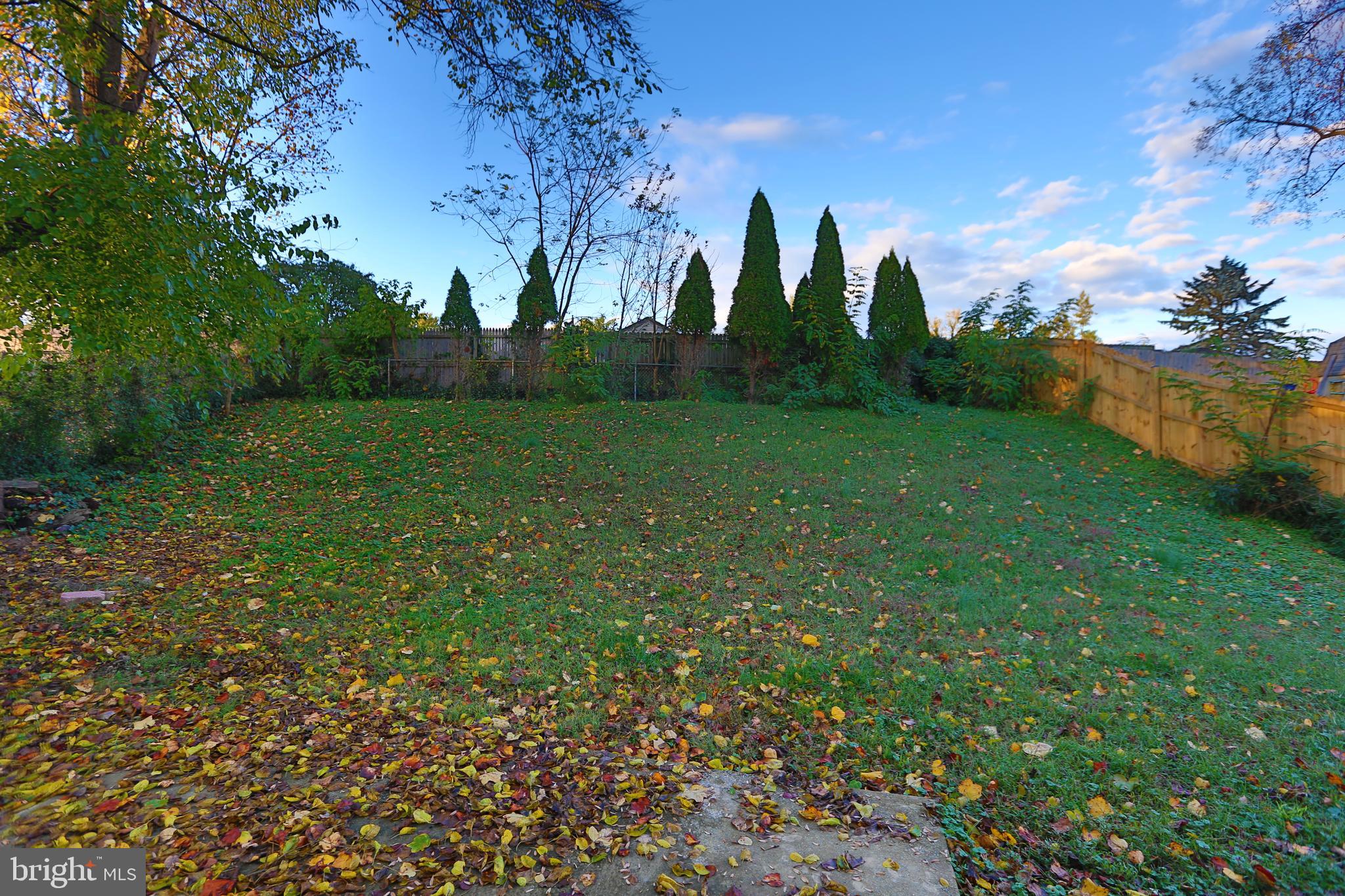 4109 Ferrara Drive Silver Spring, MD 20906 - Photo 36 of 37 Backyard