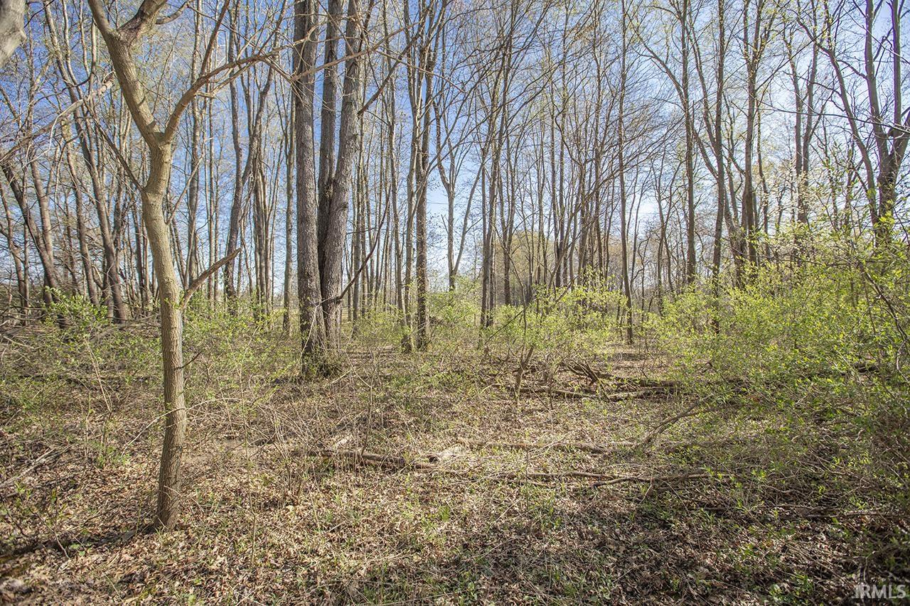24846 State Line Road Elkhart, IN 46514 - Photo 8 of 24 Gallery Image 8