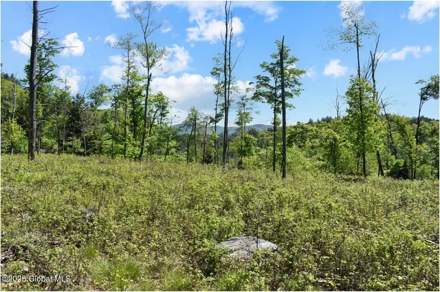 $245,000 | 364 Pease Hill Road, Horicon, NY 12815