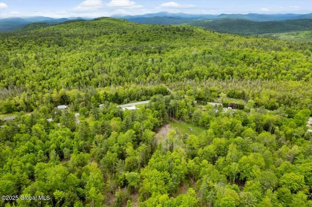 $245,000 | 364 Pease Hill Road, Horicon, NY 12815