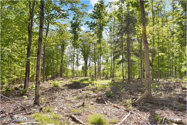 $245,000 | 364 Pease Hill Road, Horicon, NY 12815