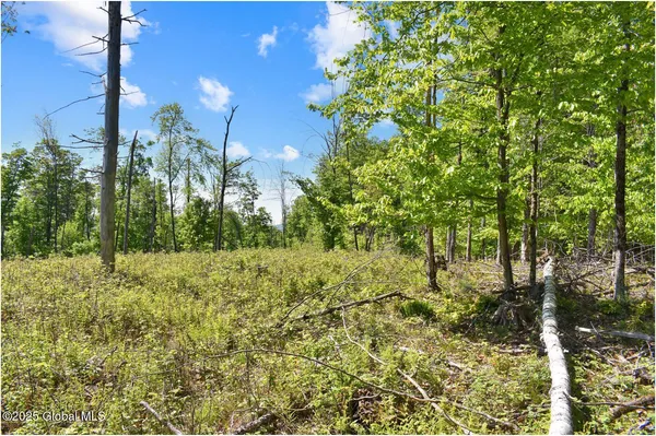 $245,000 | 364 Pease Hill Road, Horicon, NY 12815