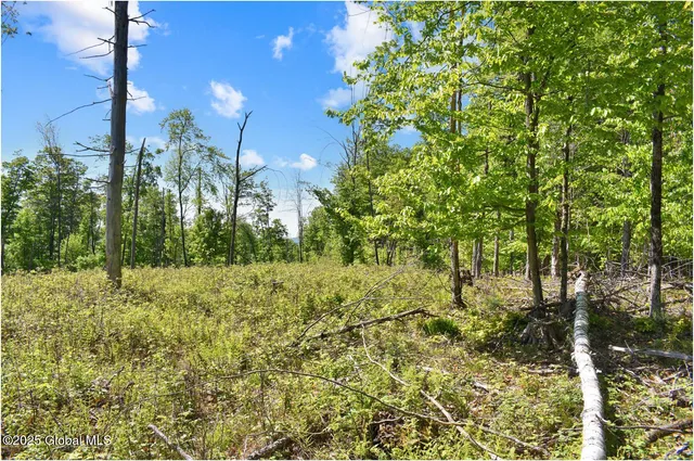 $245,000 | 364 Pease Hill Road, Horicon, NY 12815