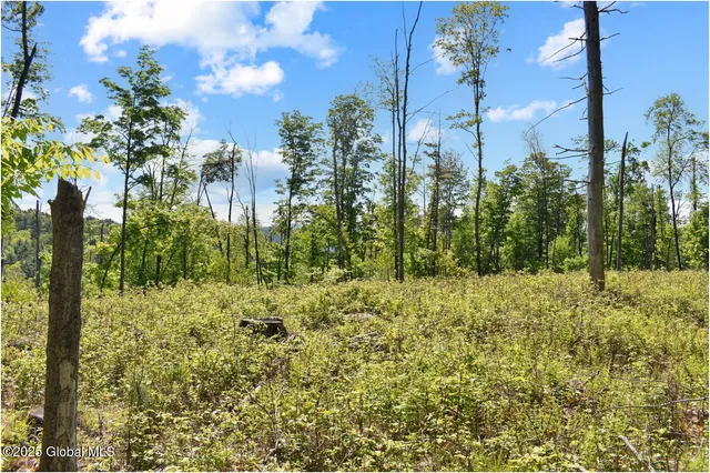 $245,000 | 364 Pease Hill Road, Horicon, NY 12815