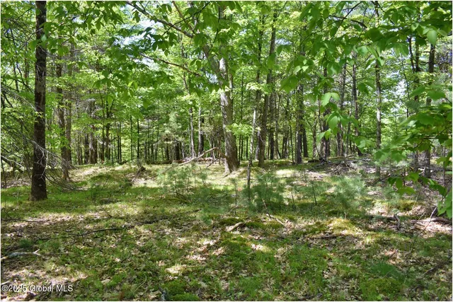 $245,000 | 364 Pease Hill Road, Horicon, NY 12815