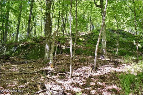 $245,000 | 364 Pease Hill Road, Horicon, NY 12815